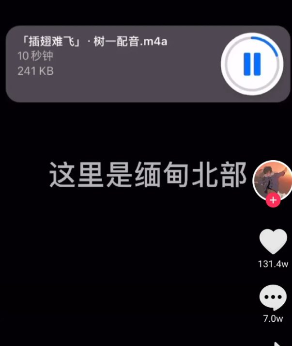 《抖音》这里是缅甸北部我生长的地方梗意思说明